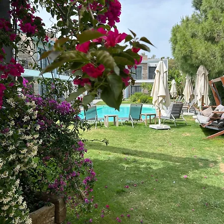 Malta 4*
